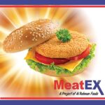 MeatEx Chicken Patty Burgar